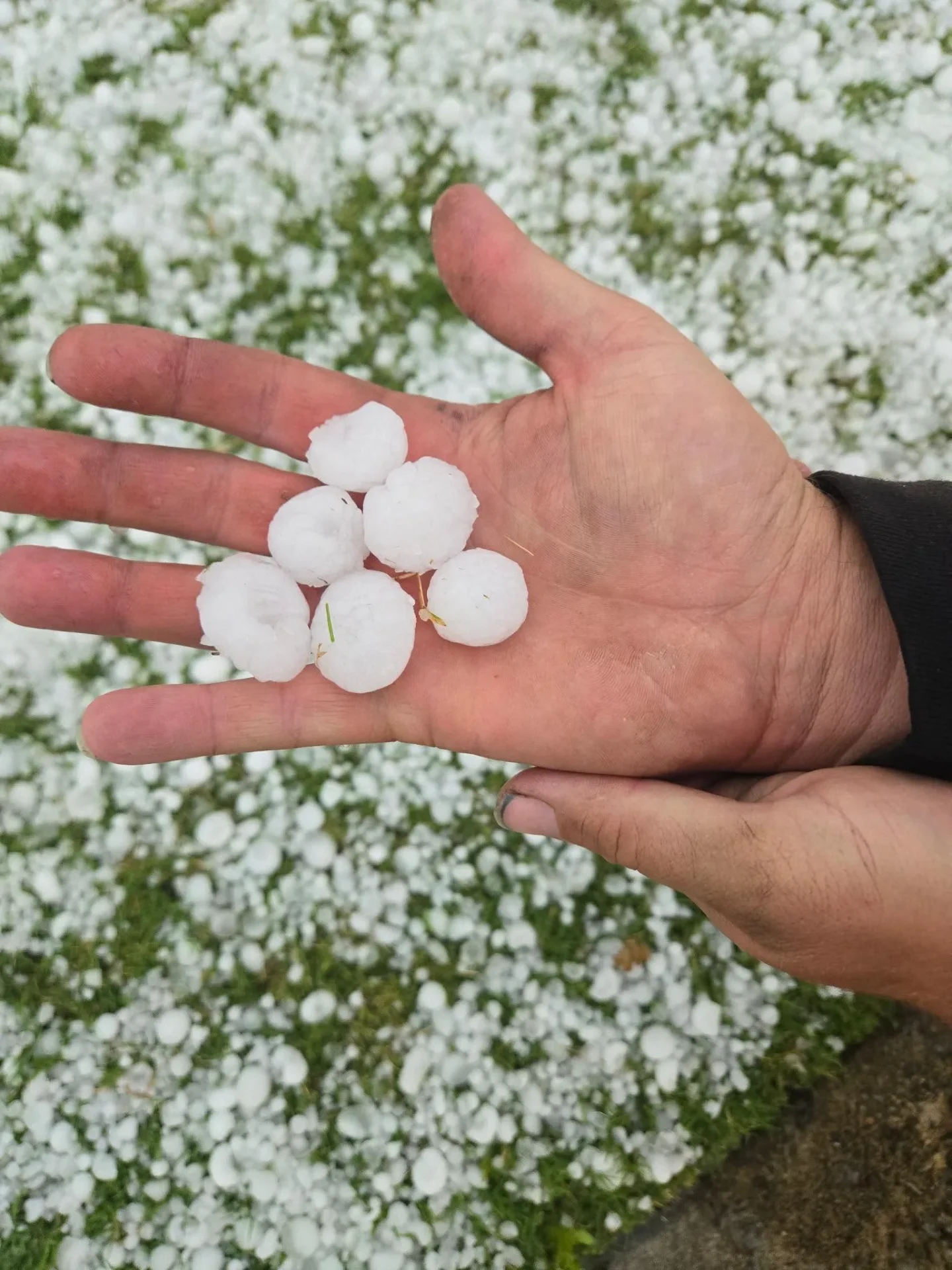 Large hail stones from a Claremore, OK storm that damaged siding and roofing